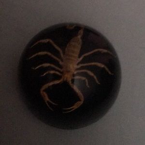 Meet your Posher, Cesar